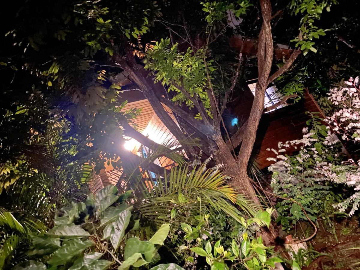 Chalet Pittoresque A Le Tampon, Vue Mont. Bagian luar foto